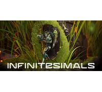 Infinitesimals (Xbox Series Account)