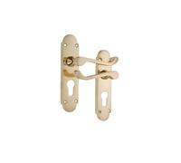 Infinity Decor Poignée de porte de style vintage en laiton poli style victorien sur plaque arrière - Convient pour les portes intérieures et extérieures
