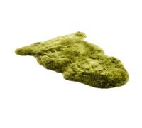 Infinity Leather Tapis Luxe en Peau de Mouton véritable 100% Laine Naturelle, Doux, Soyeux et Moelleux. Idéal pour Chambre, canapé ou Sol. Chaud et Respirant. Parfait! (90 x 60 cm) (Verdure)