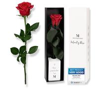 Infinity Rose Rouge sur tige (se conserve 5 ans) Vraies rose rouge dans un élégant coffret cadeau | Cadeau Saint Valentin | Fleur conservée au parfum de rose | Carte cadeau incluse
