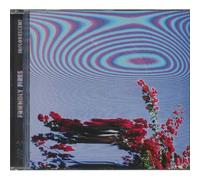 Friendly Fires - Inflorescent
