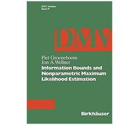 Information Bounds And Nonparametric Maximum Likelihood Estimation