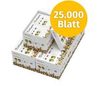 Infowerk Papier d'impression Papier à copier 25000 feuilles 50 x 500 A4 80g Premium Blanc Vainqueur du test PEFC
