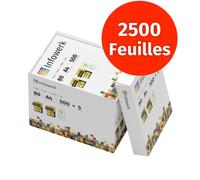 Infowerk Papier pour imprimante et photocopieur 2500 feuilles 5 x 500 A4 80 g blanc premium, certifié PEFC
