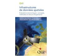 Infrastructures de données spatiales Évaluations économiques : concepts, méthodes et retours d'expérience - Hélène Rey-Valette - Quae - broché - Etude