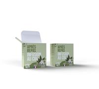 Infusettes - REST IN TIZZ - Infusion BIO au CBD - Verveine et Mélisse - Digestion