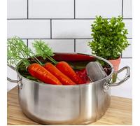 Cook Concept - Infuseur à herbes et épices Papilles KU6463 - Acier inoxydable 11 cm Gris