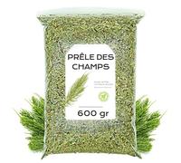 Infusion de Prêle des Champs 600 gr - Tisane de Prêle Séchée et Coupée - Plante Médicinale - Propriétés Diurétiques - Thé en vrac