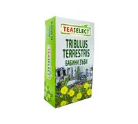 Infusion de tisane Tribulus Terrestris - 20 sachets filtrants, saveur pure, thé bulgare de qualité supérieure pour homme, 20 g, herbes sèches en sachet de thé