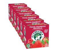 Infusion Éléphant Fruits Rouges Menthe - 6 boites - 120 sachets pyramide