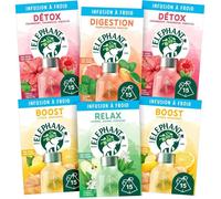 Infusions Froid Bien-être - Éléphant - Pack de 6 - Détox, Boost, Relax, Digestion - 100% Naturelle