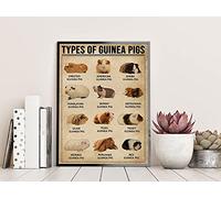 Inga Plaque en métal humoristique en forme de cochon d'Inde, hamster, cochon d'Inde, souris - Cadeau d'anniversaire - 20,3 x 30,5 cm