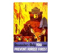 Inga Plaque Murale Vintage en Aluminium avec Inscription en Anglais « Smokey Bear Remember » - Prête à être accrochée pour l'extérieur et l'intérieur - 20,3 x 30,5 cm