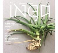 Inga - Tears and Teeth (Red Vinyl)