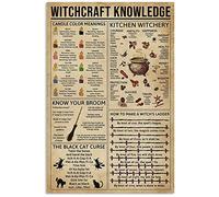 Inga Witchcraft Witchery Knowledge Poster humoristique Cadeau pour les amateurs de sorcellerie Décoration murale en métal Poster 20,3 x 30,5 cm