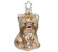 Inge-Glas - Décorations de sapin de Noël, décoration d'arbre - Chien Yorkshire Terrier - Taille : 7,5 cm - Verre soufflé à la bouche