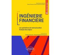 Ingénierie Financière - Les Opérations De Restructuration - Analyse Des Enjeux
