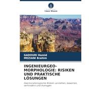 INGENIEURGEO-MORPHOLOGIE: RISIKEN UND PRAKTISCHE LÖSUNGEN: Geomorphologische Risiken verstehen, bewerten, verhindern und managen