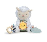 Ingenuity Calm Springs Plush Activity Pal - Jouet de dentition petit nuage, sans BPA, textures multiples, Sheppy