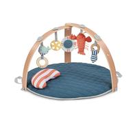 Ingenuity Tapis d'éveil réversible Cozy Spot Marin – pliable, arche en bois amovible, 5 jouets