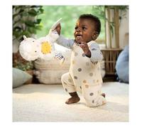 Ingenuity peluche jouet Calm Springs Activity Pal Sheppy bébé cadeau