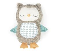 Ingenuity, Peluche petite chouette toute douce Nally the Owl avec sons rigolos et musique par Bluethooth, de 0 à 36 mois, unisexe