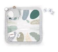 Ingenuity Tapis D'éveil Évolutif Sprout Spot, 12 Cartes Évolutives Et 5 Jouets Détachables, Lavable En Machine, Des La Naiss