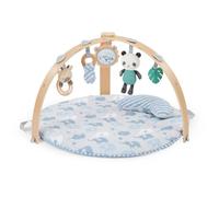 Ingenuity Cozy Spot Tapis d’Éveil Réversible avec Arche en Bois - Thème Safari Éléphant, Unisexe, Dès la Naissance