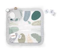INGENUITY Tapis d'éveil bébé tout confort Petit Eléphant, 12 cartes étapes mensuelles et tableau personnalisable