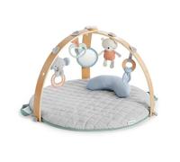 INGENUITY Tapis d'éveil réversible bébé évolutif - Loamy™ - pliable, arche de jeu en bois amovible, 5 jouets, miroir, coussin