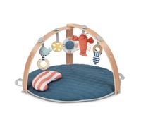 INGENUITY Tapis d'éveil réversible bébé évolutif - Marin - pliable, arche de jeu en bois amovible, 5 jouets, miroir, coussin
