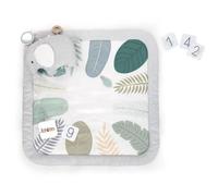 Ingenuity Tapis D'éveil Sprout Spot - Evolutif - 8 X 102 X 102 Cm - Multicolore - Des La Naissance