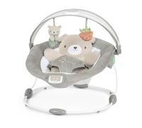 INGENUITY Transat confort Petit Ourson, Arche d'éveil lumineuse, Coussin réducteur amovible gris TU