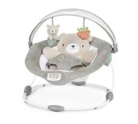 Ingenuity Transat confort Petit Ourson, arche d'éveil lumineuse, coussin réducteur amovible gris