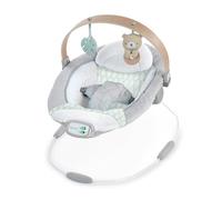 Ingenuity Transat Nate L'Ourson Avec Arche D'Éveil En Bois