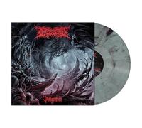 Ingested - Denigration [Vinyl LP]