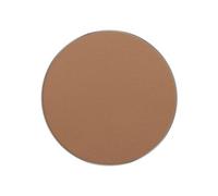 Inglot Perfect Finish Pressed Powder Nro 14 1 Unité