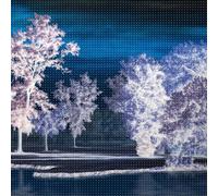 Ingrid Laubrock - Last Quiet Place