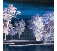 Ingrid Laubrock The Last Quiet Place (CD)
