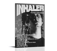 Inhaler Cuts & Bruises Poster sur toile classique imperméable à l'eau Décoration murale universelle Peinture à offrir à un ami ou un professeur 20 x 30 cm