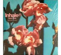 Inhalateur – Ouvrez Grand – LP Indie Exclusif Pink – Neuf et scellé