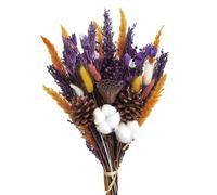 INIFLM Fleurs Séchées, Fleurs Séchées avec Tige, Bouquets de Fleurs Séchées Myosotis, Fleurs Artificielles Séchées, Arrangement Floral pour Vase, Arrangements Floraux, Décoration de la(A)