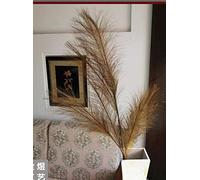 INIFLM Lot de 5 feuilles de pampa artificielle, imitation roseau naturel séché, longues branches pour intérieur, jardin, décoration de mariage, remplissage de vase et arrangement de fleurs