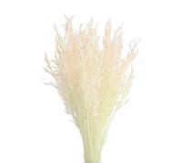 INIFLM Lot de 50 fleurs séchées naturelles, flocons d'avoine séchés pour cheminée, maison, cuisine, église, table de mariage, décoration d'intérieur (40-45 cm)