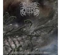 Iniquitos Deeds - Incessant Hallucinations