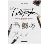 Initiation À La Calligraphie - Alphabets, Lettres Ornées, Entrelacs - Expliqués Pas À Pas