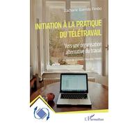 Initiation à la pratique du télétravail: Vers une organisation alternative du travail