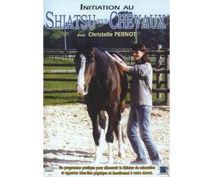 initiation au shiatsu pour chevaux