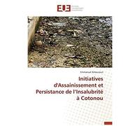 Initiatives D'assainissement Et Persistance De L'insalubrité À Cotonou