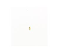 Injecteur 119 gaz naturel four pour Cuisiniere Indesit